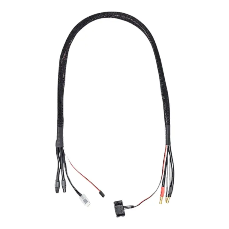 2S 50A Synchronized Charge Cable With Built-In Temperature Sensor (Xt60 & 5Mm) 1