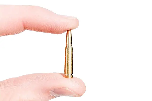 .50 Caliber Dummy Rounds – Set Of 10 Realistic Replicas 1