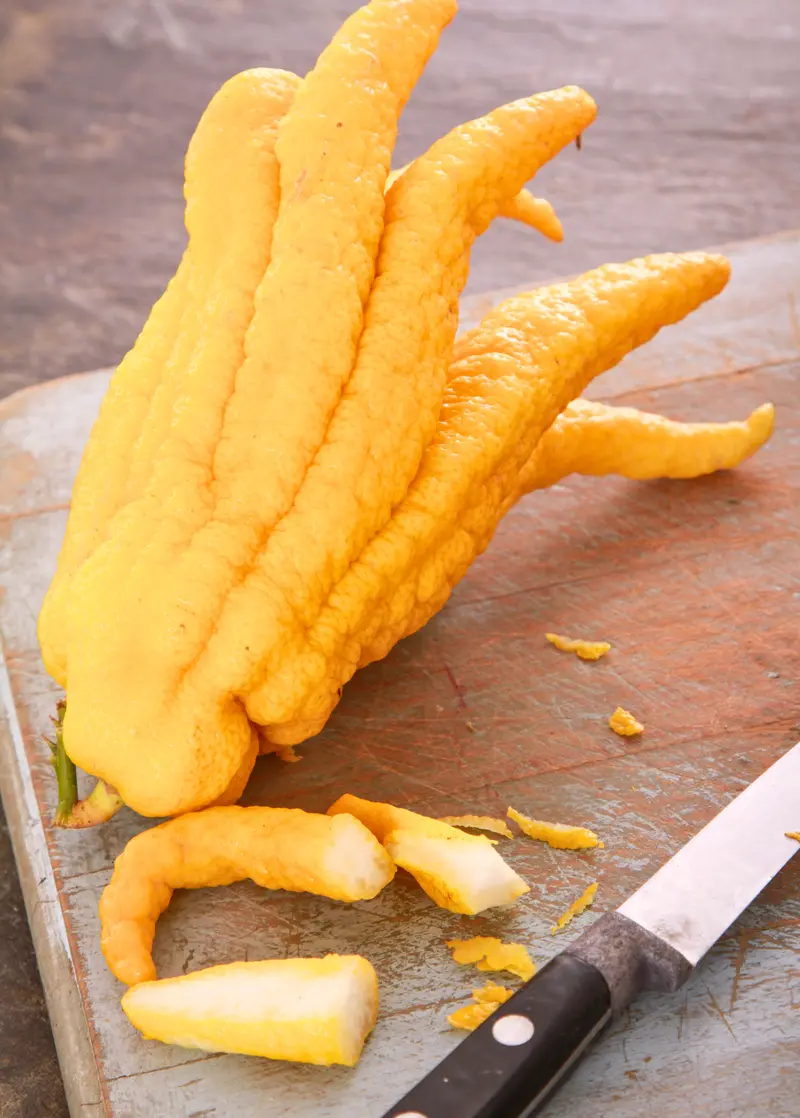 Buddha’S Hand Citron – Citrus Medica Var. Sarcodactylis Decorative & Aromatic 1