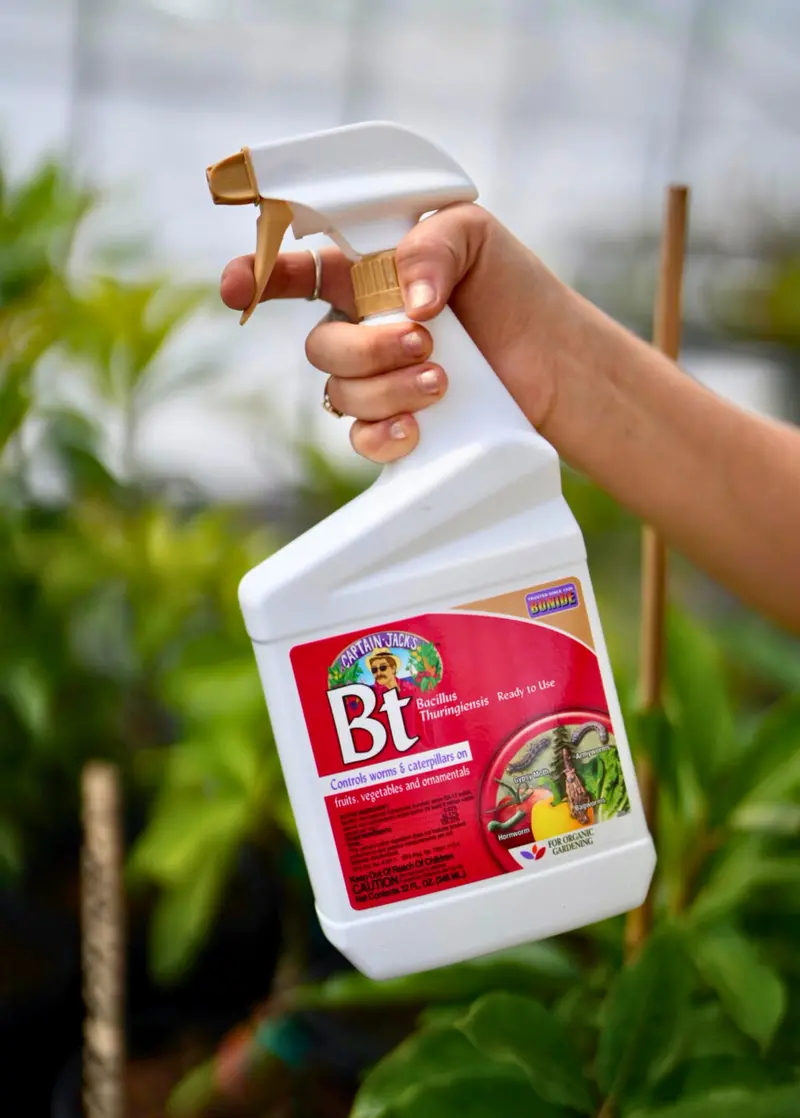 Captain Jack’S Bt Thuricide – Bacillus Thuringiensis Spray 1