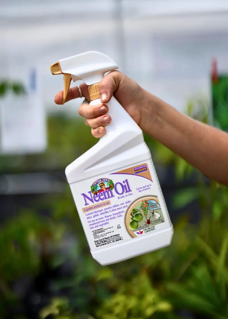 Captain Jack’S Neem Oil Spray For Organic Pest Control 1