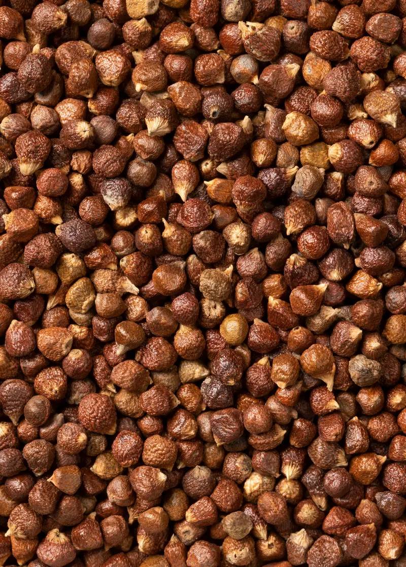 Grains Of Paradise – Aframomum Melegueta Spice Seeds 1