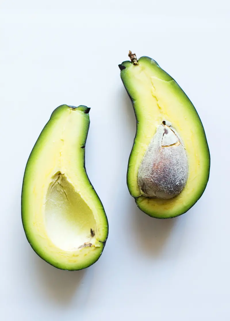 'Mexicola' Avocado – Persea Americana Cold-Hardy Grafted Tree 1