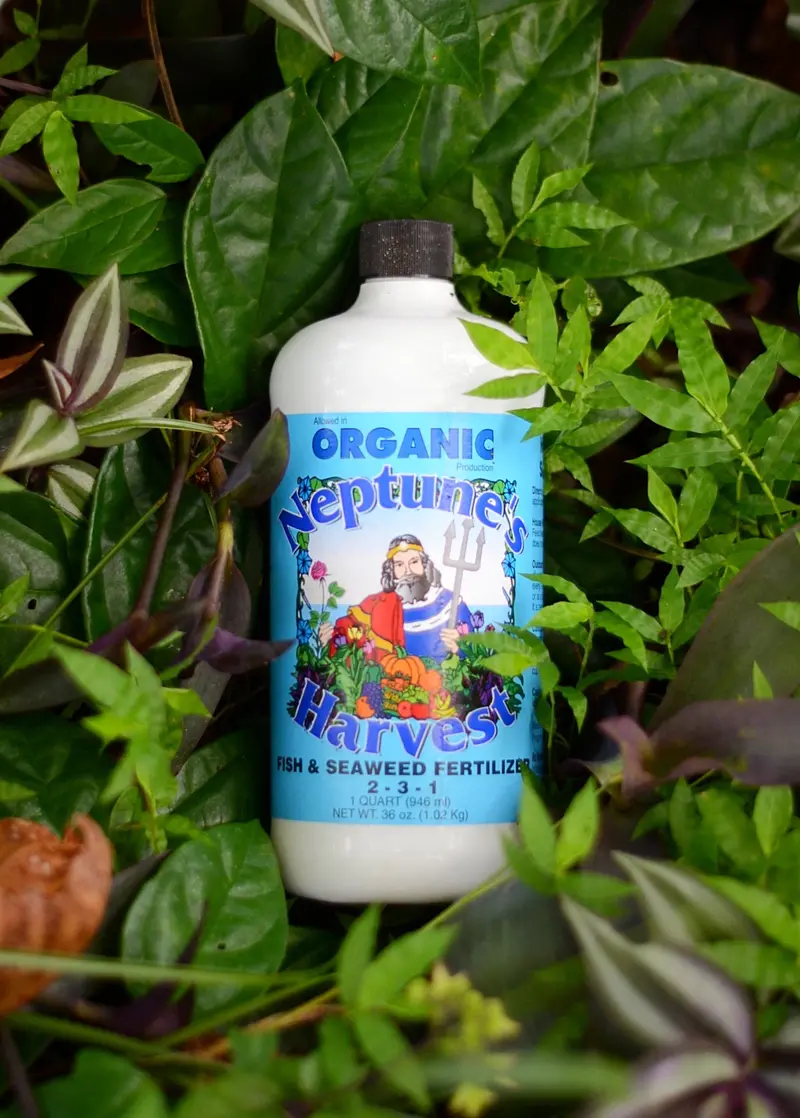 Neptune’S Harvest Organic Fish And Seaweed Fertilizer (2-3-1 Npk) 1