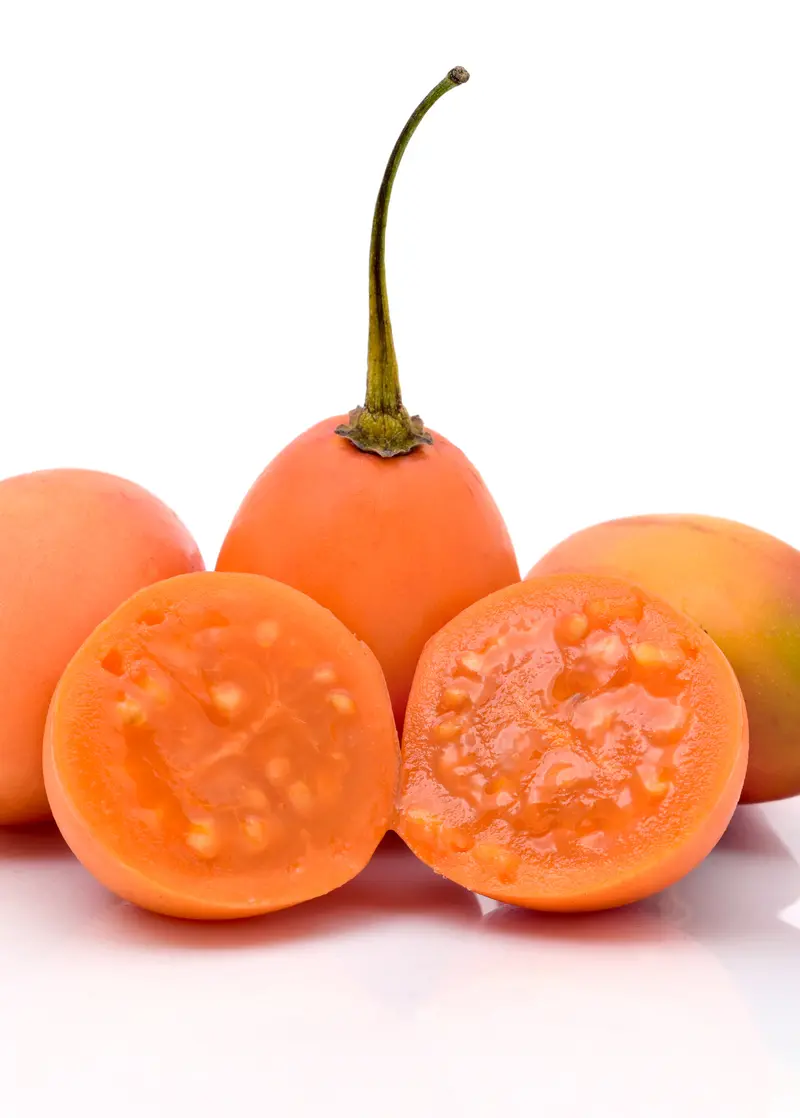Orange Tree Tomato – Cyphomandra Betaceae (Syn. Solanum Betaceum) Fruit-Bearing Shrub 1