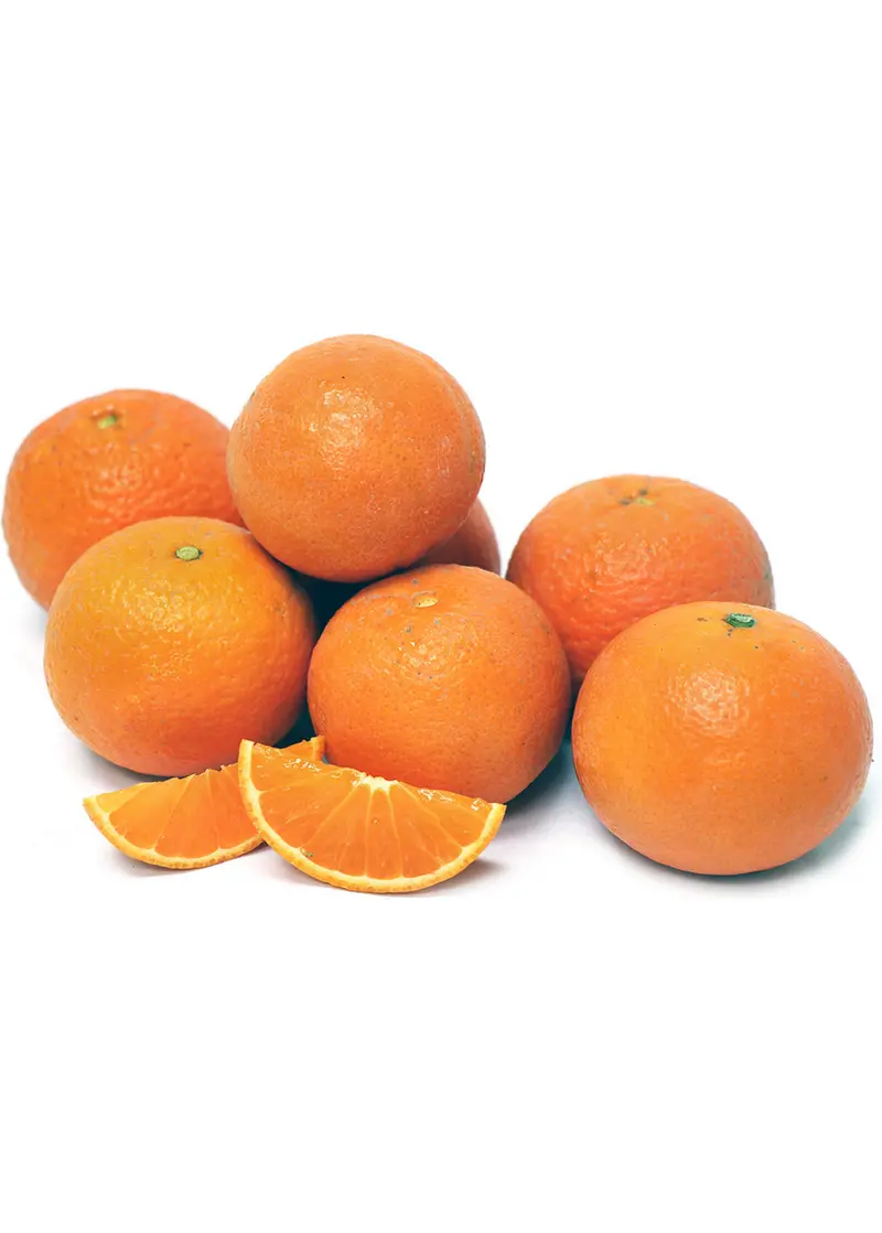 Page Mandarin Orange (Citrus Reticulata 'Page') 1