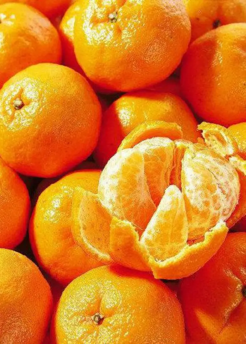 Ponkan Mandarin – Juicy Chinese Honey Orange With Thick Rind 1