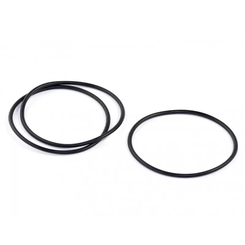 Roche Rapide P12–P16 Battery Holder O-Ring Seal 1